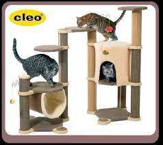 Pin On Cat Scratch Fever