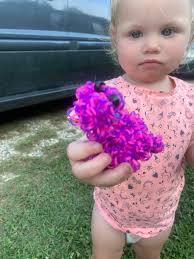 Llama breeder had 9 babies this year