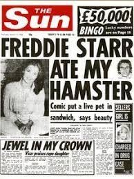 When Did The Silly Season Start Newspaper Headlines Funny Headlines Sun Newspaper