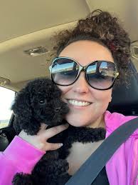 Tiny toy poodle owners, share your experiences