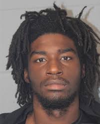 Vehicle taken with pets inside.