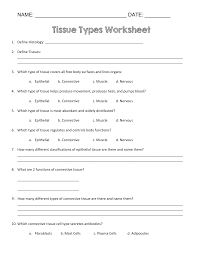 4 tissue types matching worksheet. Tissue Types Worksheet