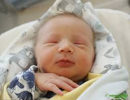 Dzień dobry, jestem Marcel Michel Hryncyszyn. Mieszkam w Zaborzu