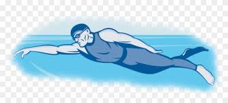 Png Transparent History Of Swimming Types Man Swimming Png Download 1024x407 3662278 Pngfind Search for cartoon swimming ball pictures, lovepik.com offers 313169 all free stock images, which updates 100 free pictures daily to make your work professional and easy. png transparent history of swimming