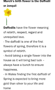 March Birthday Month Flower Daffodil Or Jonquil First Flowers Of Spring March Birth Flowers Birthday Month Flowers
