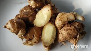 16 march at 15:40 ·. Kencur Segudang Manfaat Di Dapur Dan Khasiat Tanaman Obat Greeners Co