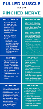 Pulled Muscle Vs. Pinched Nerve [Infographic]-Mangiarelli Rehabilitation