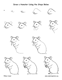 These various hamster coloring sheets depict hamsters. Hamster Cage Coloring Pages Google Search Hamster Drawings Coloring Pages