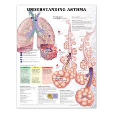 Right colors can make any chart beautiful. Understanding Asthma Chart 6061