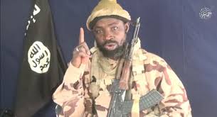 What is the current relationship between iswap and boko haram/shekau? Boko Haram Leader Shekau Dead As Iswap Fighters Capture Sambisa Forest Report