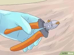 Work the comb under any visible burrs and gently pull them out. How To Get Burrs Out Of Dog Hair 10 Steps With Pictures