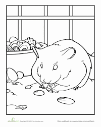 Free download coloring pages hamsters 47 for your picture with. Hamster Worksheet Education Com Hamsters As Pets Coloring Pages Preschool Coloring Pages
