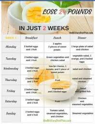 Fall 2021 meal plan information a meal plan provides variety and flexibility: 38 Kpop Diet Plan Ideas Kpop Diet Diet Diet Plan