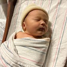 Michael Quintal (@mike_quintal) • Instagram photos and videos