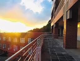 雨林小站: 八月2017