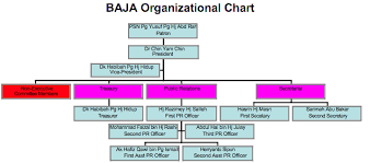 brunei association of japan alumni baja organizational chart