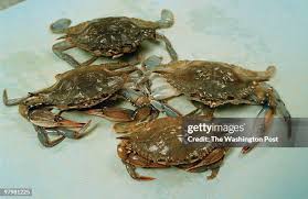 200 Edgell Stock Photos, High-Res Pictures, and Images