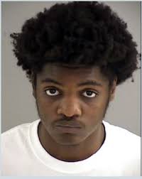 2 Virginia gang members sentenced to 38 years for woman's 2023 abduction,  murder