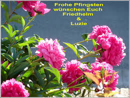In 30 minuten zum eigenen onlineshop. Frohe Pfingsten Frondenberg Ruhr