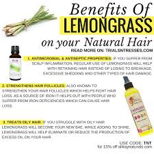 The softer, fleshier part of the lemongrass (which is what you want to use in your. Benefits Of Lemongrass On Your Natural Hair Millennial In Debt