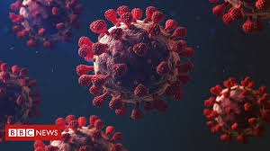 Covid Why Is Coronavirus Such A Threat Bbc News Nations ban travel with uk over more infectious covid strain.