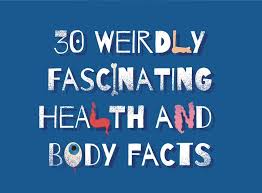 You are presented with so many insurance options that you are unsure which is best. 30 Weird Body Facts You Might Find Fascinating Vapekit Co Uk Blog