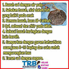 Uri perlu diuruskan dengan sebaiknya supaya tidak membusuk. Cara Menanam Uri Kredit Page Kelab Soal Jawal Ibu Bakal Set Bersalin Tips Berpantang Serta Resepi Dalam Pantang Facebook