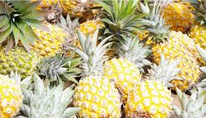 Ananas Victoria De La Reunion Reunion Island Island Pineapple