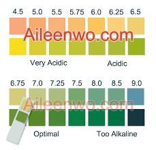 Ph Test Strip Color Chart Malaysia Aileenwo Com