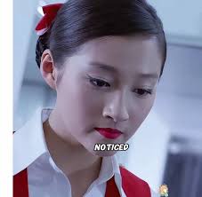 Ruby Wang Flight Attendant