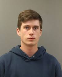 Wicker Park man charged with killing, torturing cats