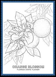 You can search several different ways, depending on what information you have available to enter in the site's search bar. Florida State Flower Coloring Page Usa Facts For Kids