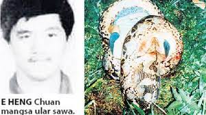 Watch premium and official videos free online. Kisah Lelaki Ditelan Ular Sawa Pada Tahun 1995 Youtube