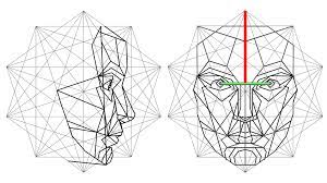 Beauty Lies In The Phi Of The Mathematician Geometric Face Face Drawing Golden Ratio