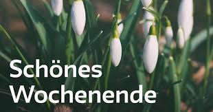 Macht Euch Ein Schones Wochenende Sharedichdrum Instagram Plants