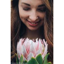 Cynthia Forster's Instagram, Twitter & Facebook