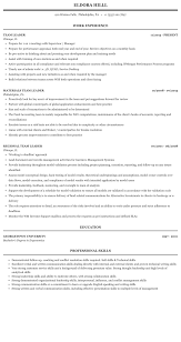 Make sure your cv is littered with examples of leading a team, managing projects, delegating, making decisions and influencing/motivating others. Team Leader Resume Sample Mintresume