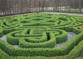 Zen Maze Garden Topiary Garden Amazing Gardens Modern Garden