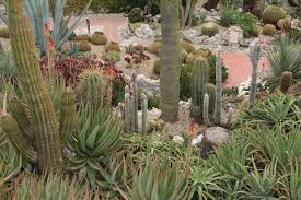 Sleeping on a bed of cacti may not sound that appealing, but cactus printed bedding will bring all of. Jardin Exotique D Eze France A Stunning Garden Overlooking Eze