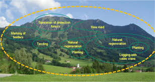 Useless users, hapless bosses, clueless vendors and adventures in the it trenches. Oberammergau Pilot Action Region Mountain Forest Initiative Bwo Intechopen