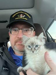 Taking foster kitten to adoption event this morning in Corvallis, MT. I  hope she finds her furever home! : r/aww