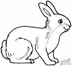 رسم حيوانات للتلوين recherche google bunny coloring pages animal coloring pages dog coloring page