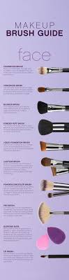 makeup brush guide face knowledge