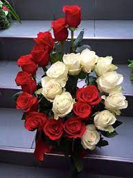 Log In Or Sign Up Valentine Flower Arrangements Fresh Flowers Arrangements Church Flower Arrangements