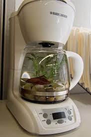Black And Decker 8 Cup Food Processor Won T Turn On All Newest Pixdaus Cool Fish Tanks Fish Tank Cool Fish