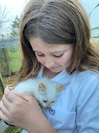 Another day another photoshoot with my perfect little model. 🥰