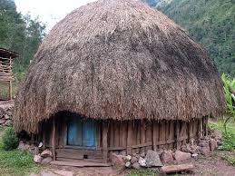 Sketsa rumah adat honai mewarnai gambar rumah adat papua gambar mewarnai adat joglo desain rumah modern. Informasi Belajar Anak Interaktif Rumah Adat Provinsi Papua Rumah Adat Honai