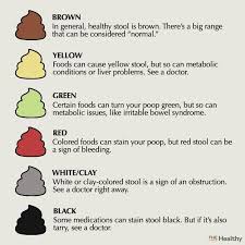 Image result for blood in stool human poop