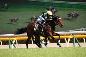 The rights of each work belong to each creator, and prohibit reproduction without permission. DmmãƒãƒŒãƒ¼ã‚·ãƒ¼ã®ç‰é¦¬ãƒ©ãƒ´ã‚ºã‚ªãƒ³ãƒªãƒ¼ãƒ¦ãƒ¼ãŒã‚ªãƒ¼ã‚¯ã‚¹åˆ¶è¦‡ ã§ ãã‚Œã£ã¦ ã©ã®ãã‚‰ã„ã®å¥‡è·¡ãªã® Dmm Inside