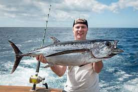 Tuna Fishing Top Species And Where To Catch Them